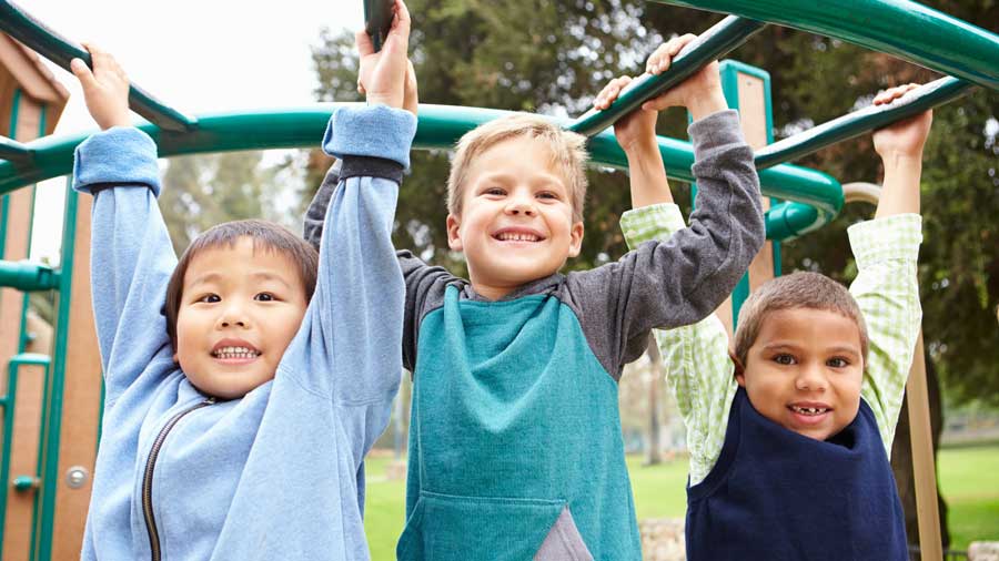 Three young boys on a climbing frame