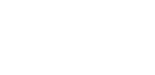 Disability Confident Committed Certified